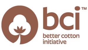 BCI-New-Logo-300x171